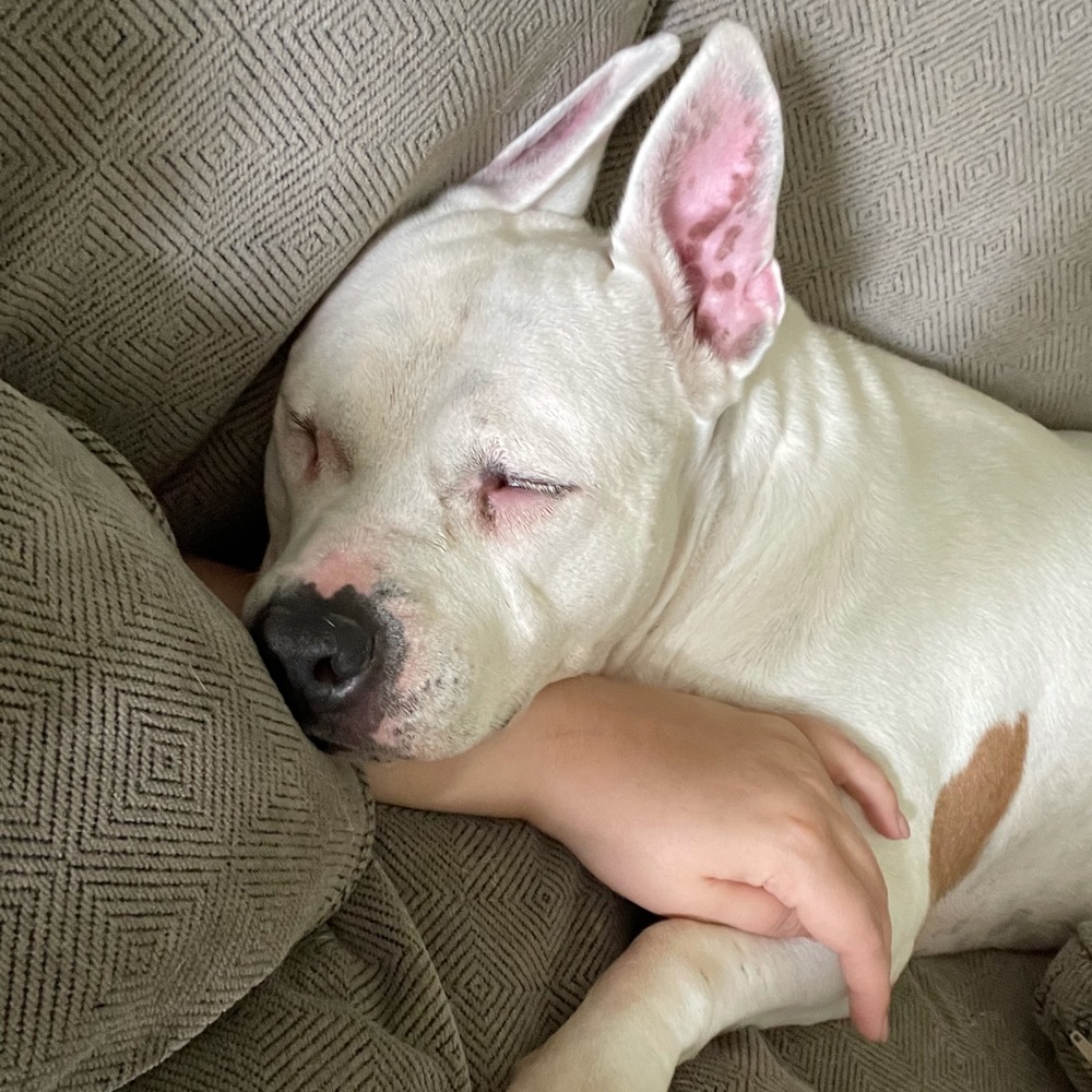 Meet your Posher, Jennifer